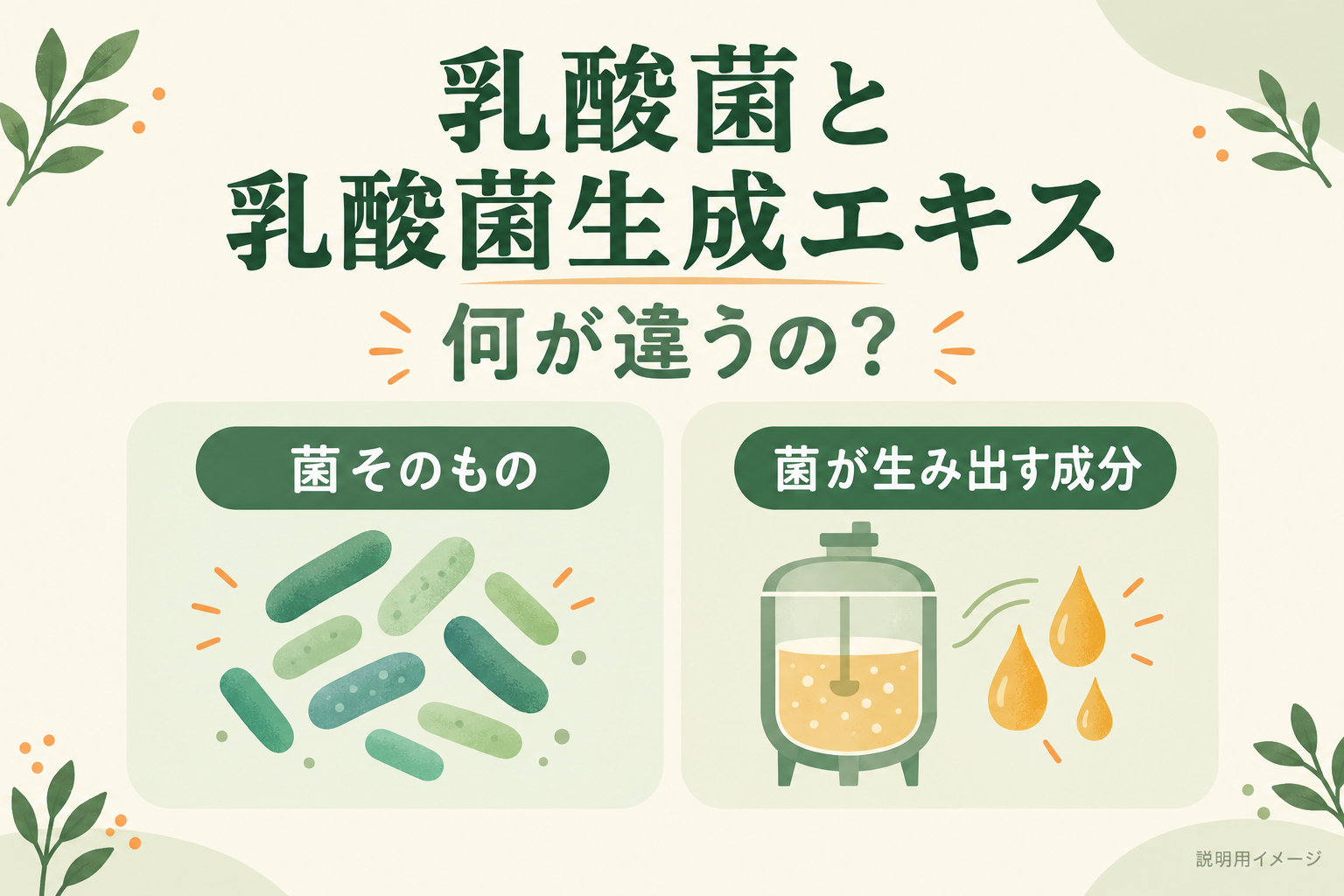 乳酸菌と乳酸菌生成エキスの違いを、菌そのものと菌が生み出す成分に分けて示した説明用図解